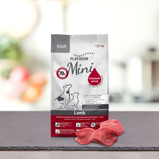 Adulto Mini Borrego 900g