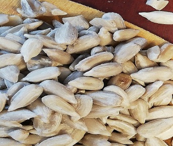 Girassol sementes - 250 g