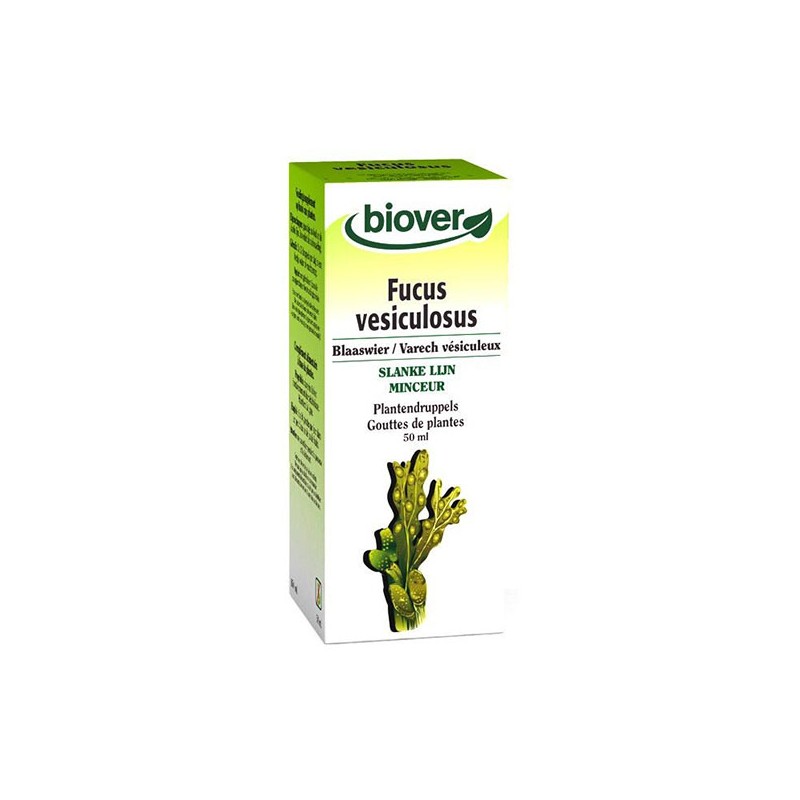 Tintura Base Plantas Algas 50ml 