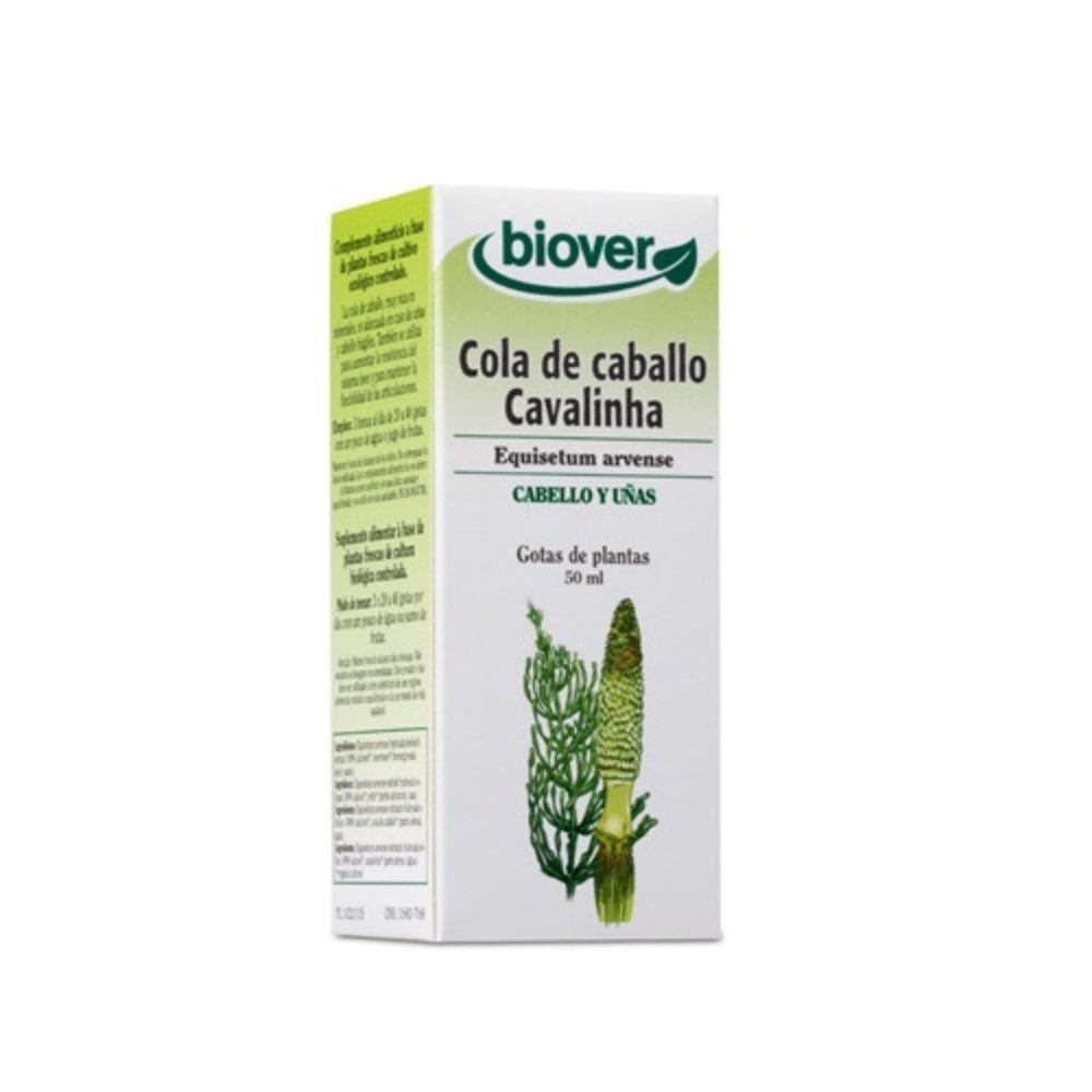 Tintura Base Plantas Cavalinha 50ml 