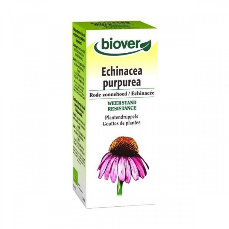 Tintura Base Plantas Equinácea 50ml 