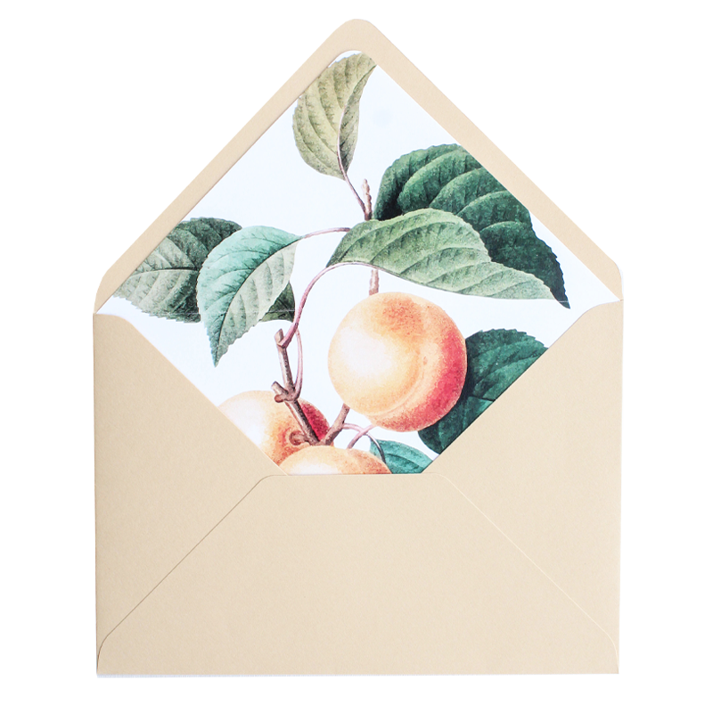 Envelope Pala em bico, Branco natural + interior limões (duplicado) - 1