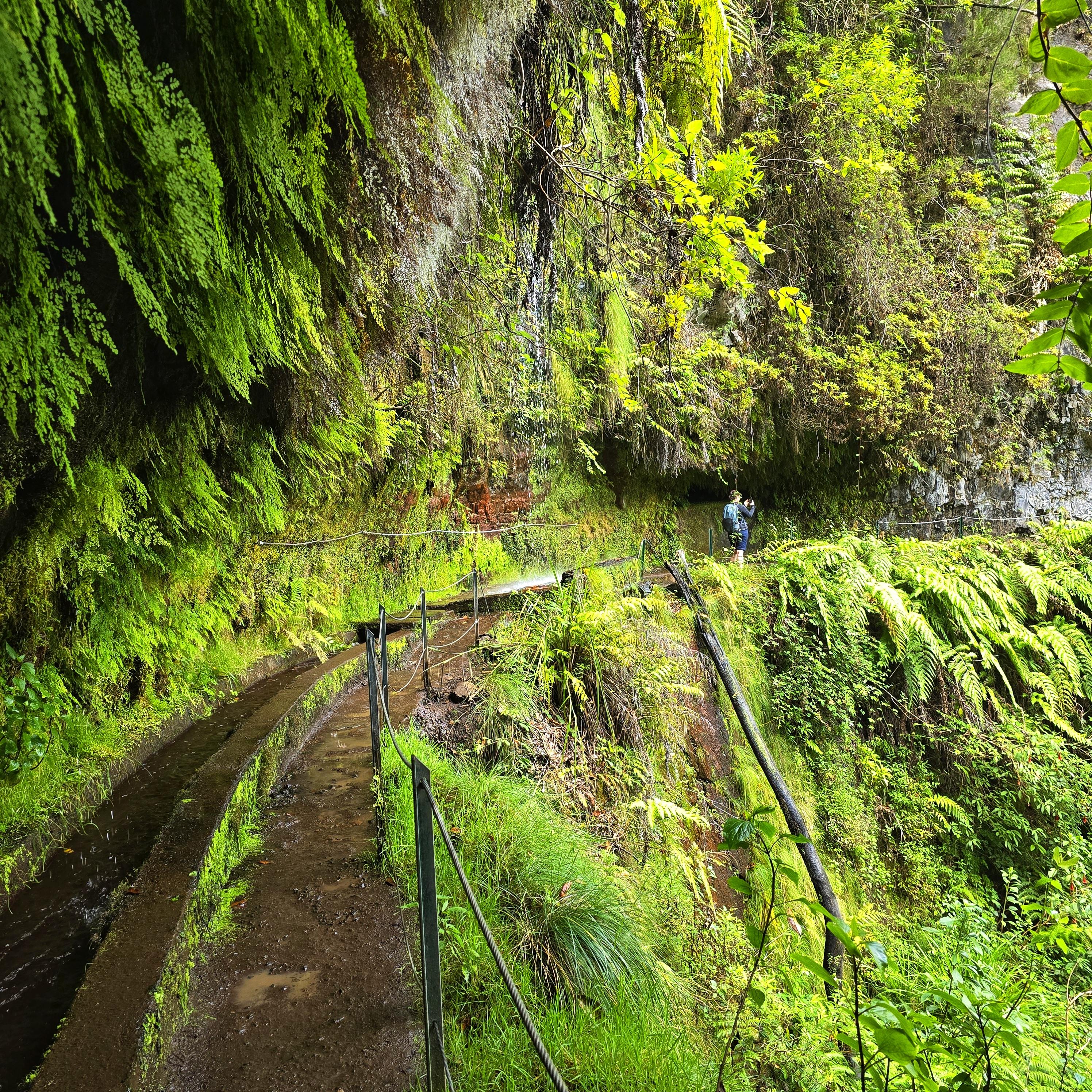 Levada do Rei and São Jorge Water Mill