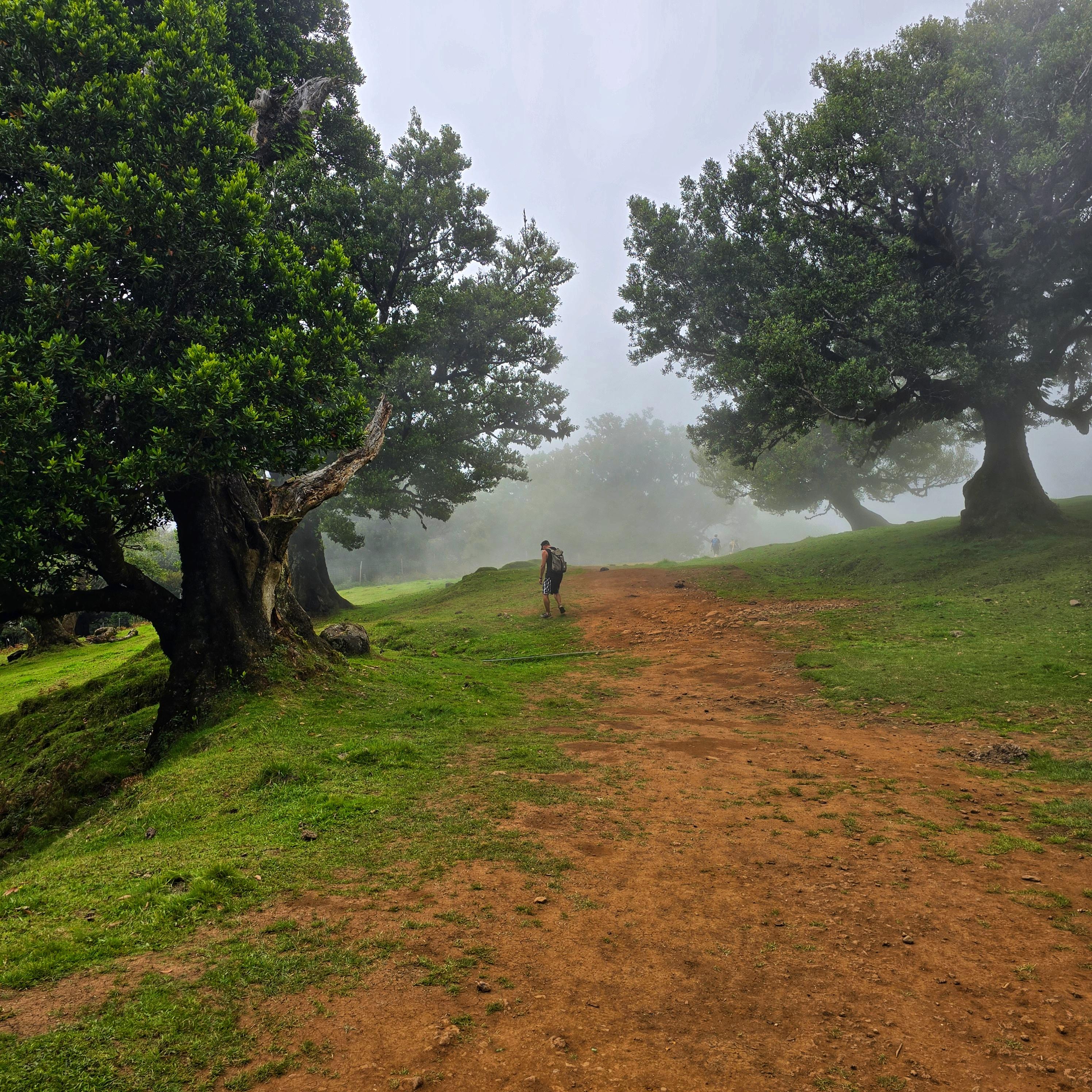 Sunrise at Pico do Arieiro with Levadas and Fanal Forest