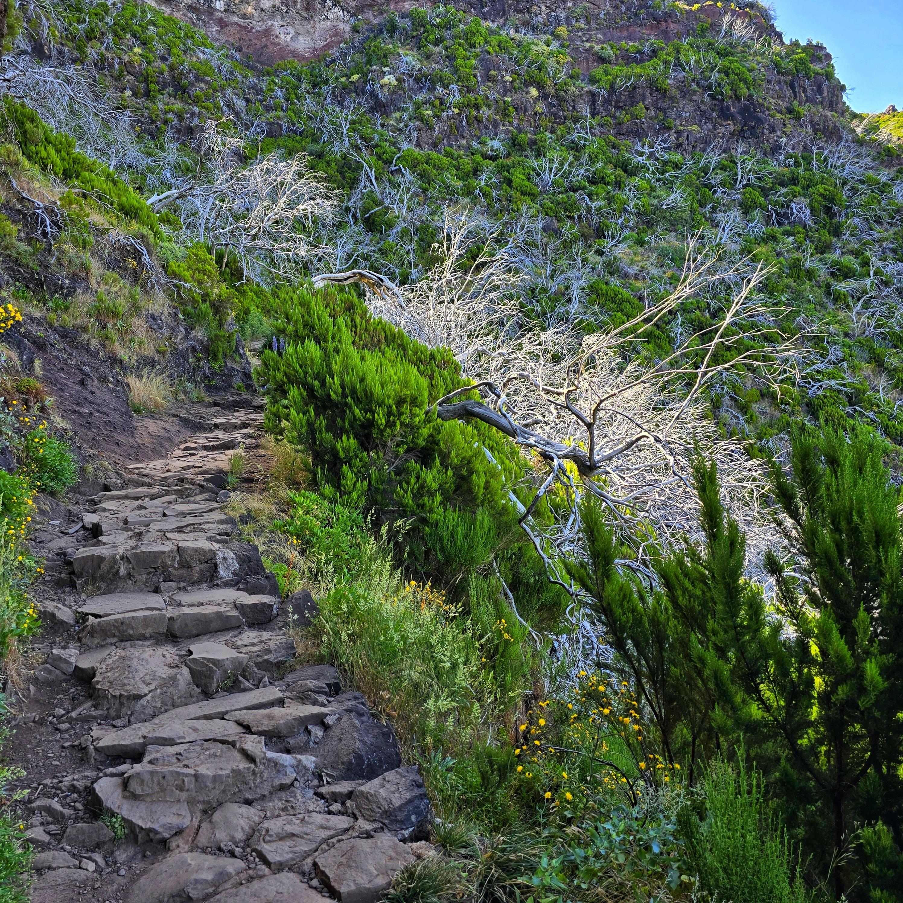 Sunrise Hike Pico do Arieiro to Pico Ruivo