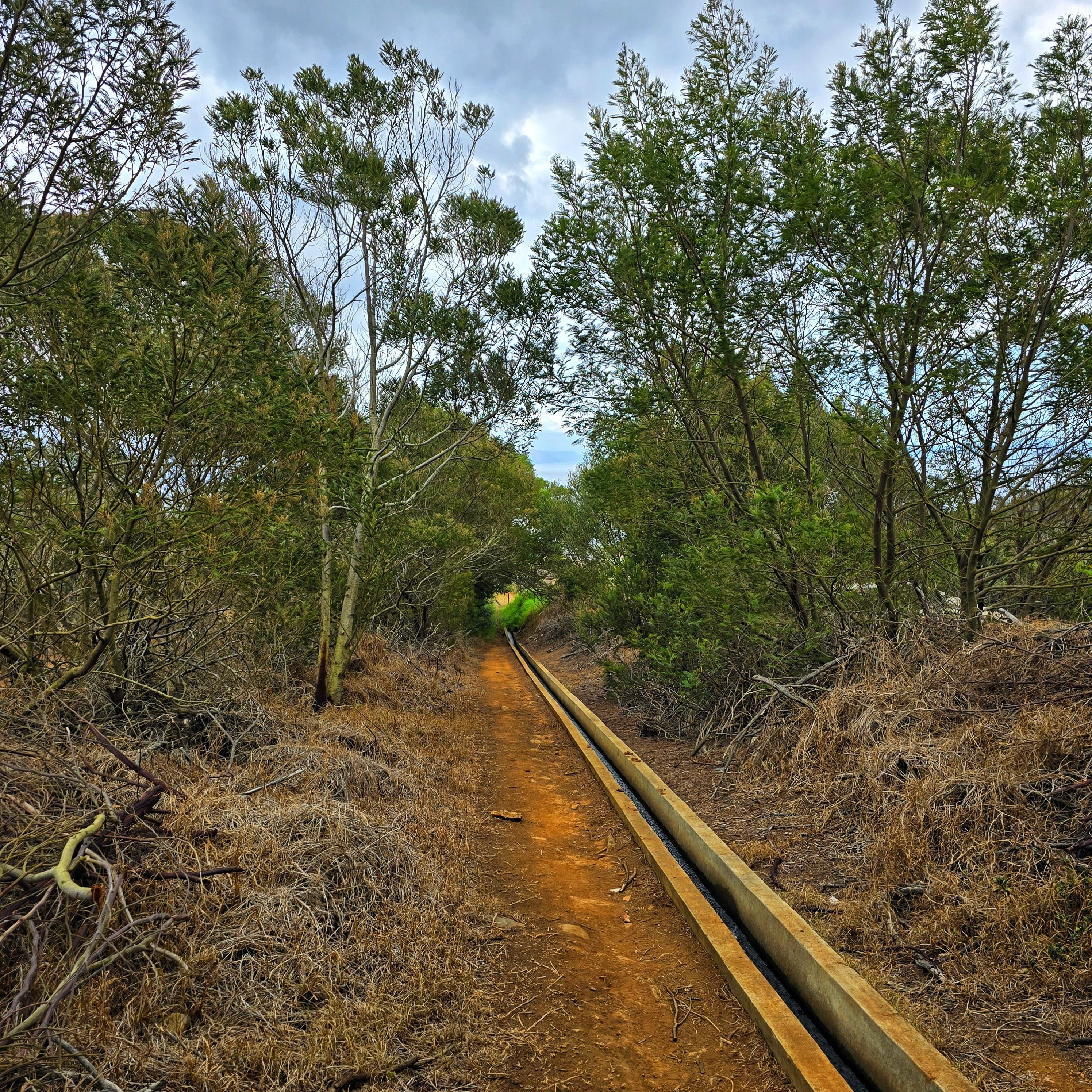 Larano to Caniçal Coastal Hike