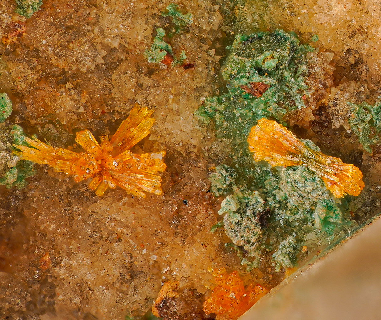 Rosasite and mimetite - Kamariza Mines