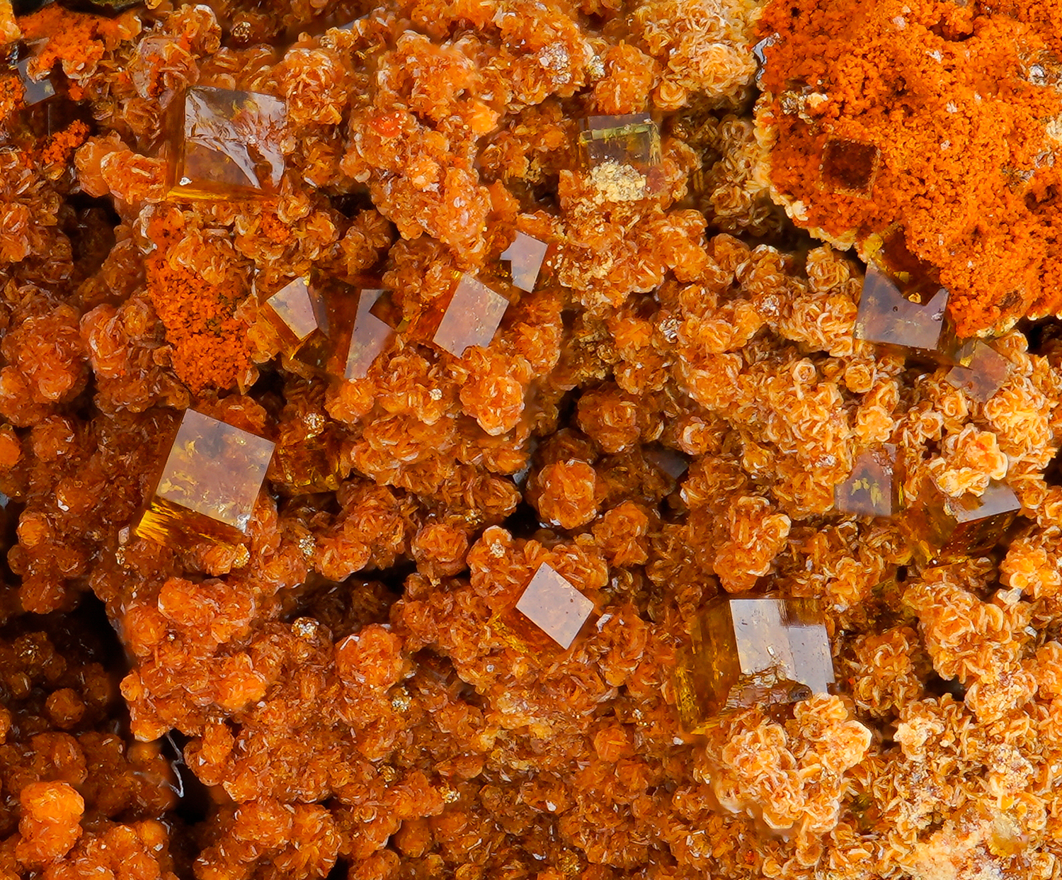 Pharmacosiderite and arseniosiderite - Hilarion Mine