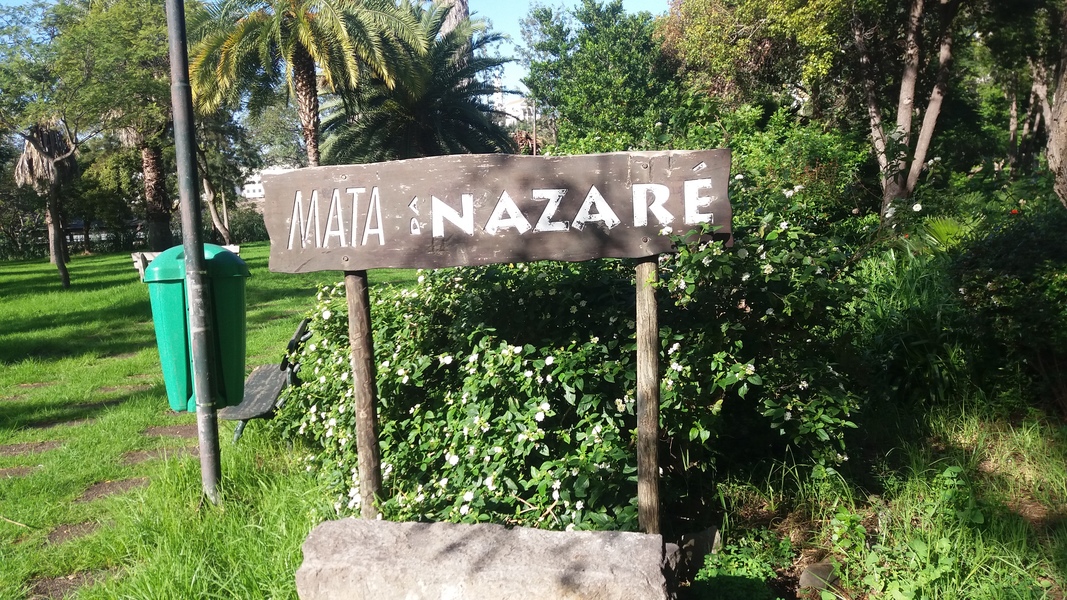 (205) - Bairro da Nazaré Map -Madeira / PortugalDecember2016