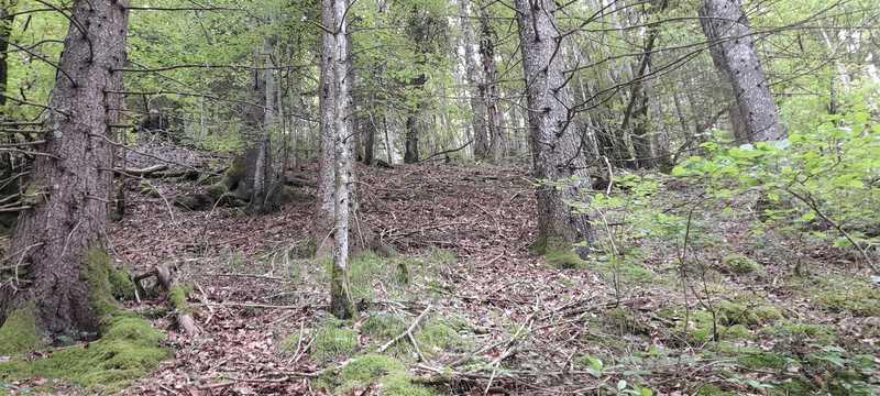 (291) - Mapa Apremont - França Maio 2024