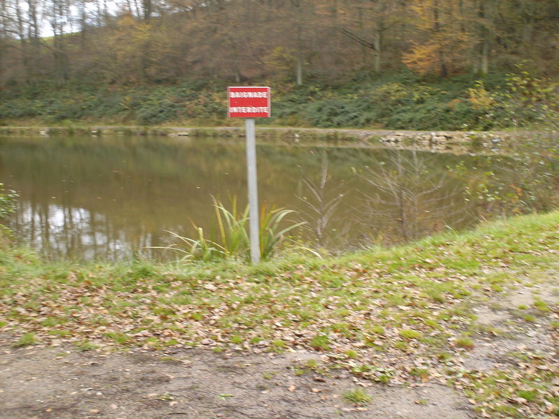 (82) - Map  Bois de Le Garde-France - November2008.
