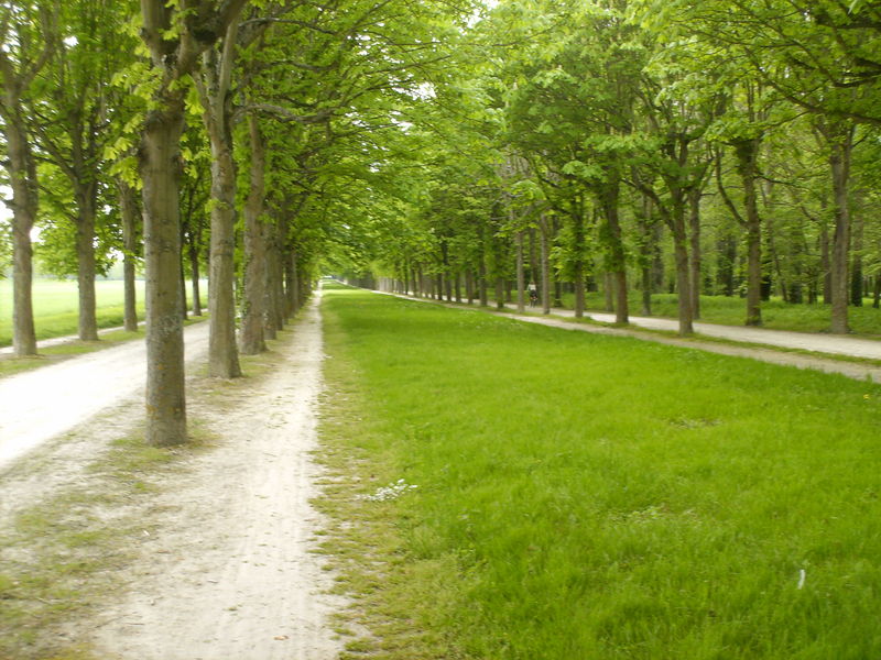 (119) - Le Chateau ParkMap-France(Fontenebleau)April2011.