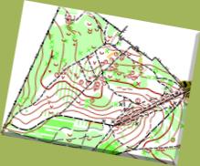 (163) - Bois des Gonards Map - France Mars/April2014