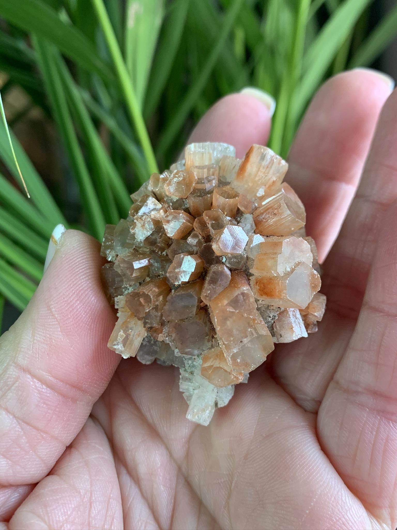 Aragonite Sputnik