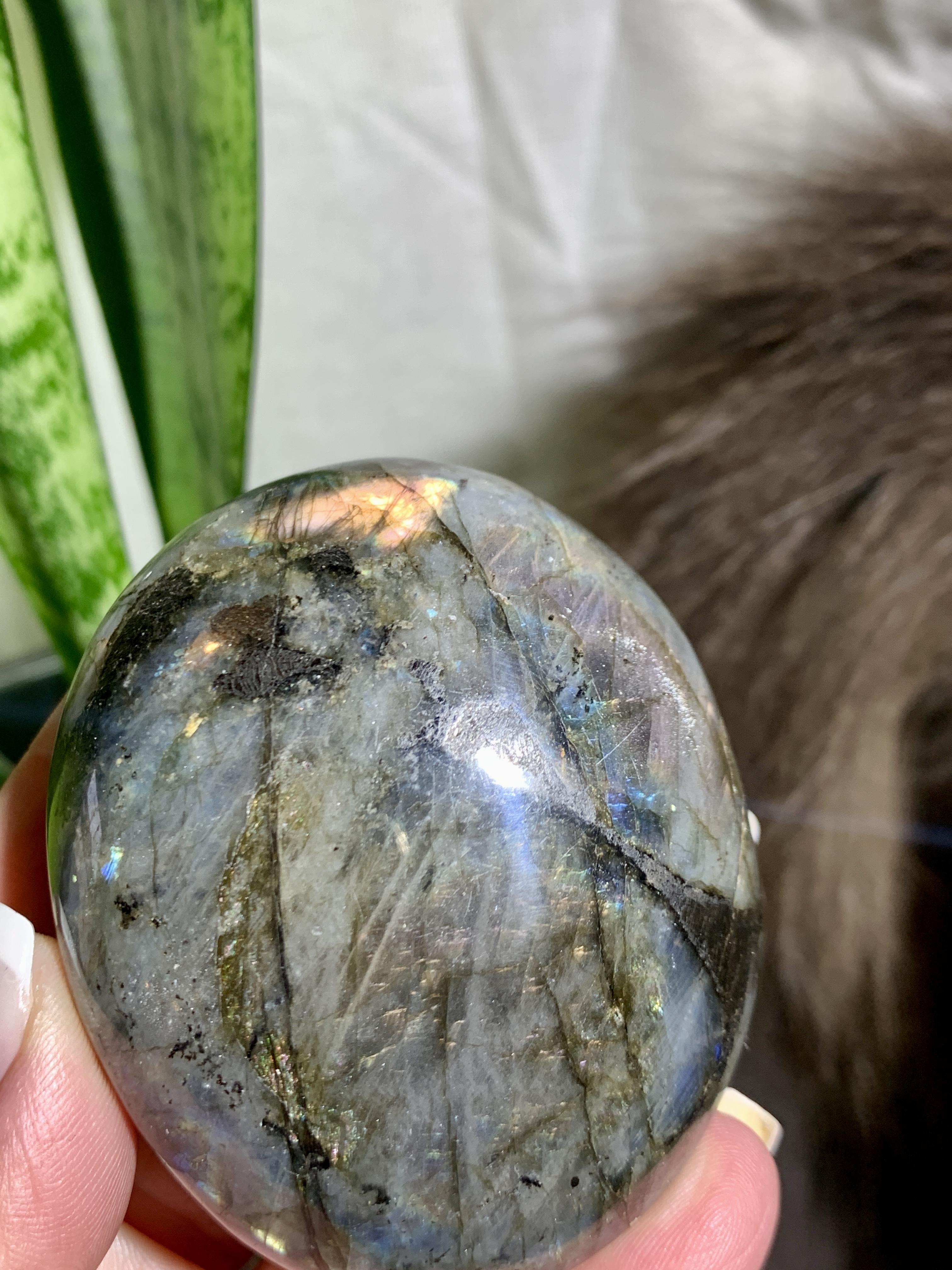 Palma em Labradorite