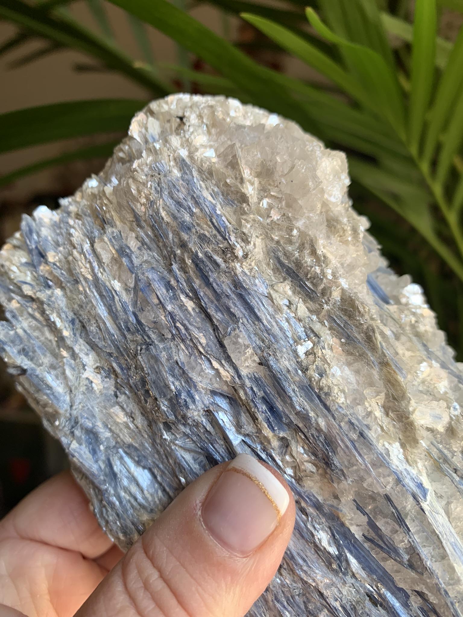 Cianite