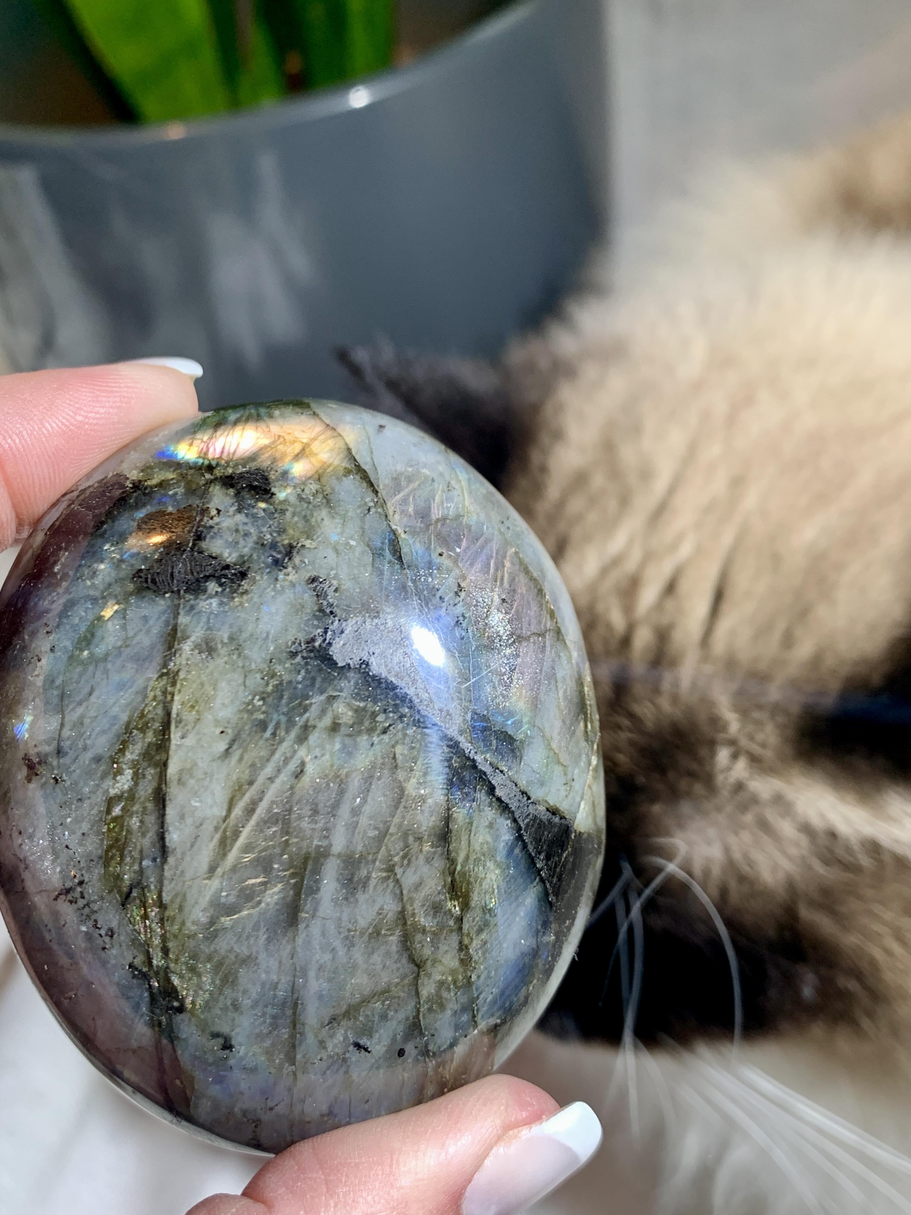 Palma em Labradorite