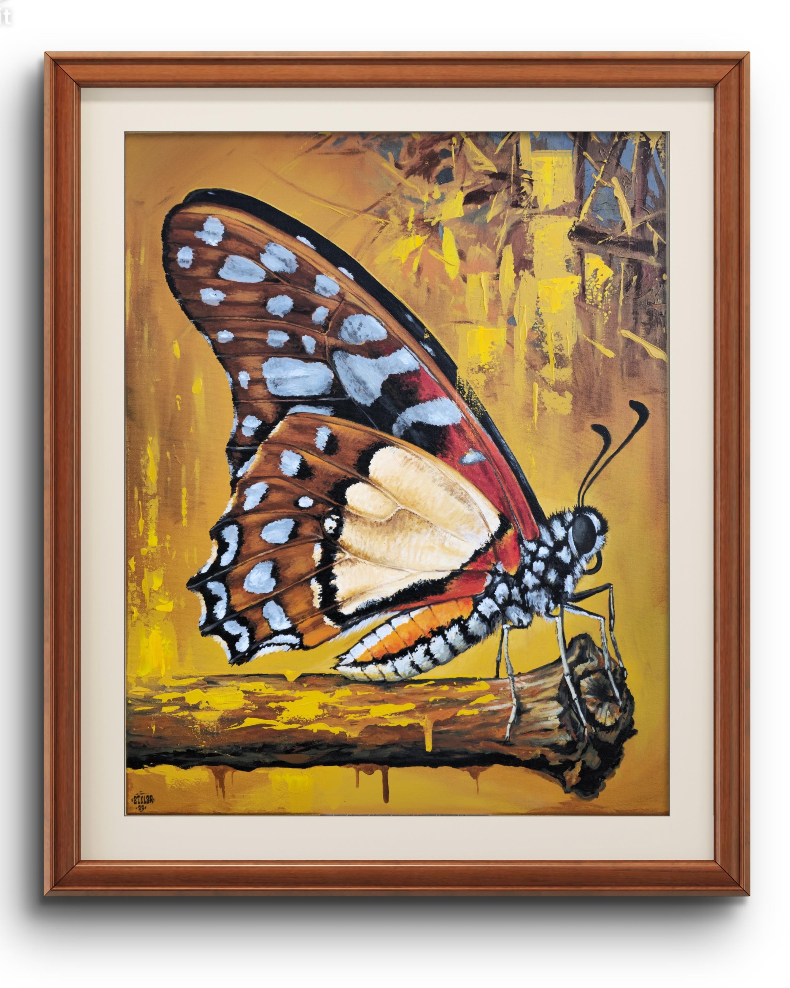 Borboleta Africana