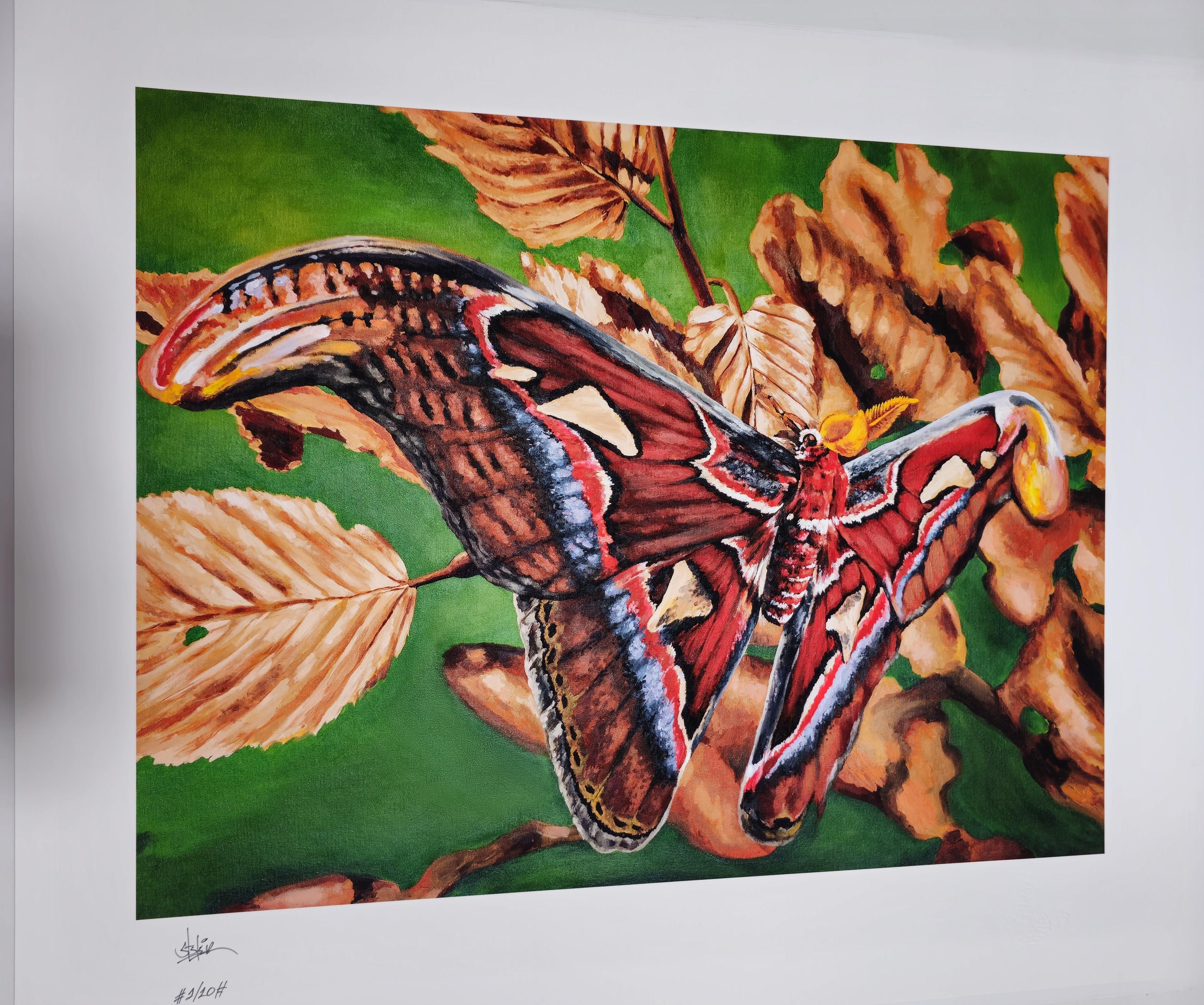 Mariposa               
